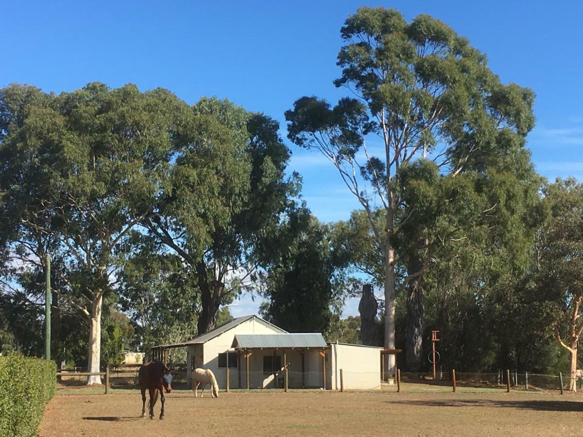 Henley Brook Rivergum Cottage Swan Valley מראה חיצוני תמונה